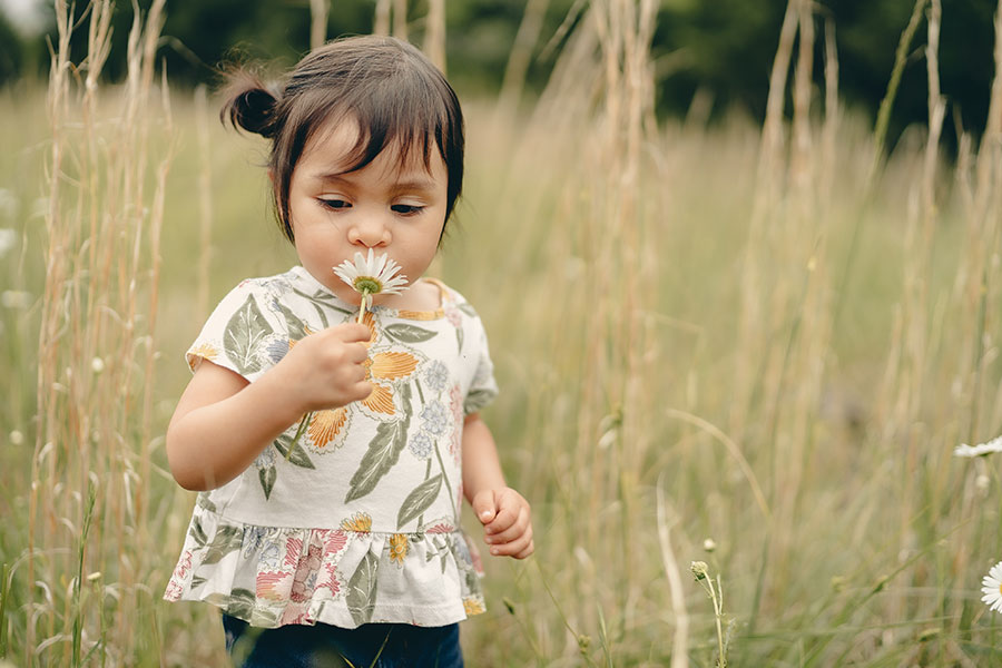 little girl sniffing a flower in a field